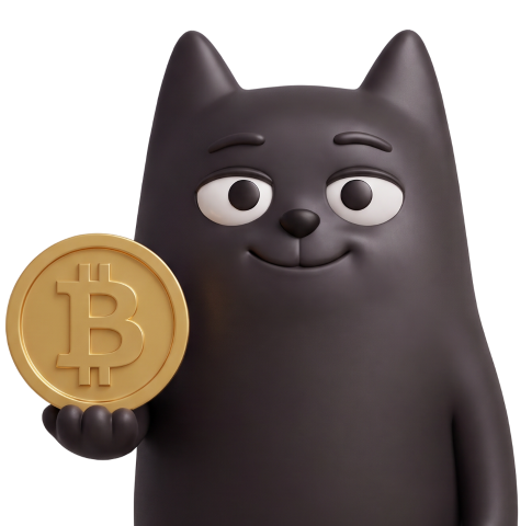 Cat with coin