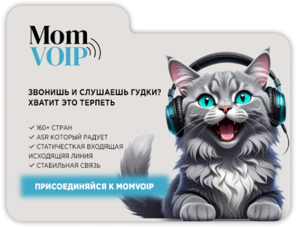MomVoip